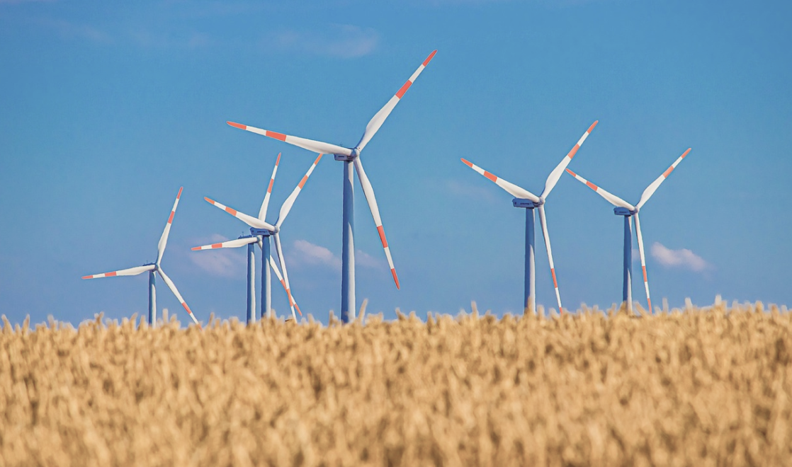 Sustainability